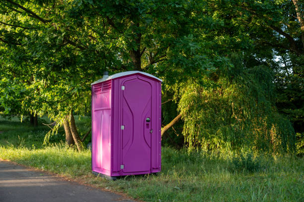 Portable Toilet Options We Offer in Roma, TX